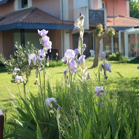 villa helianthe Audenge Esterno foto