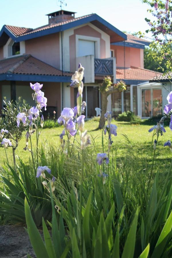 villa helianthe Audenge Esterno foto