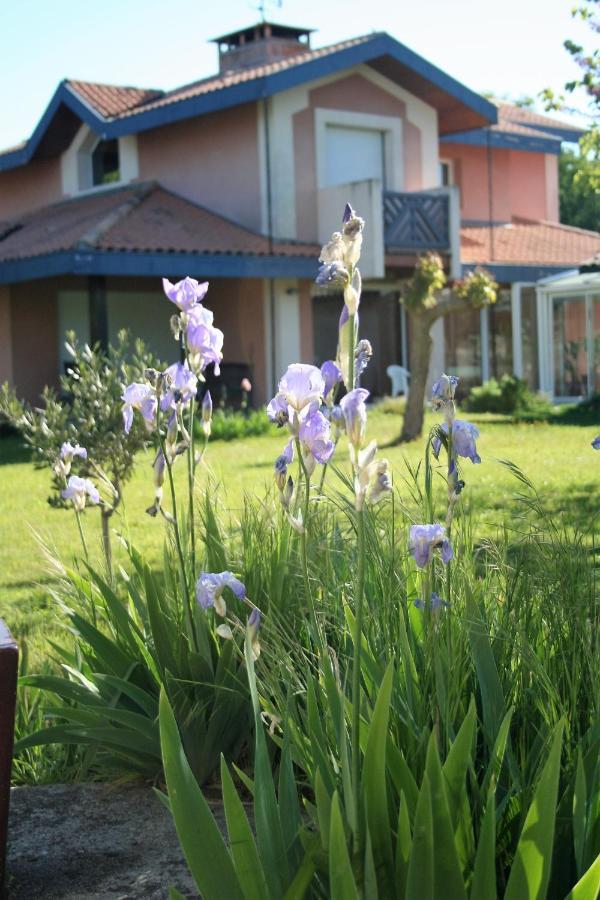 villa helianthe Audenge Esterno foto